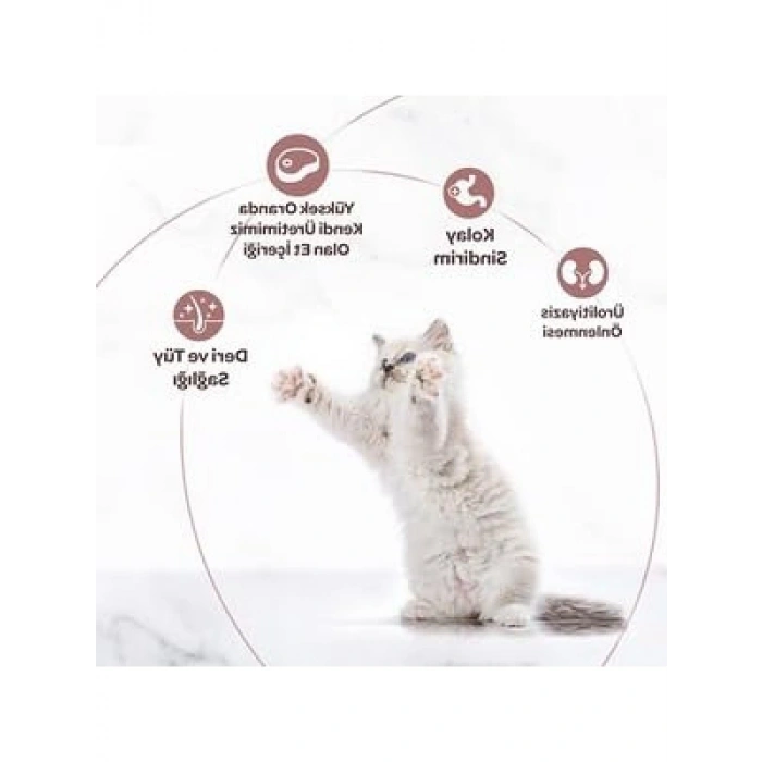 Yavru Kedi için Tavuk Etli Yaş Mama - 80 Gr x 24 Adet