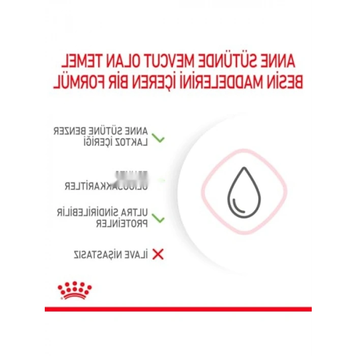 Yavru Kedi Süt Tozu - 300 gr, Besleyici ve Kolay Kullanım