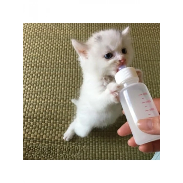 Yavru Kedi ve Köpekler İçin 50 ml İki Emzikli Biberon