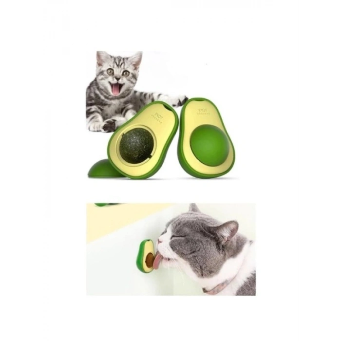 Yenilebilir Avokado Kedi Nanesi Topu