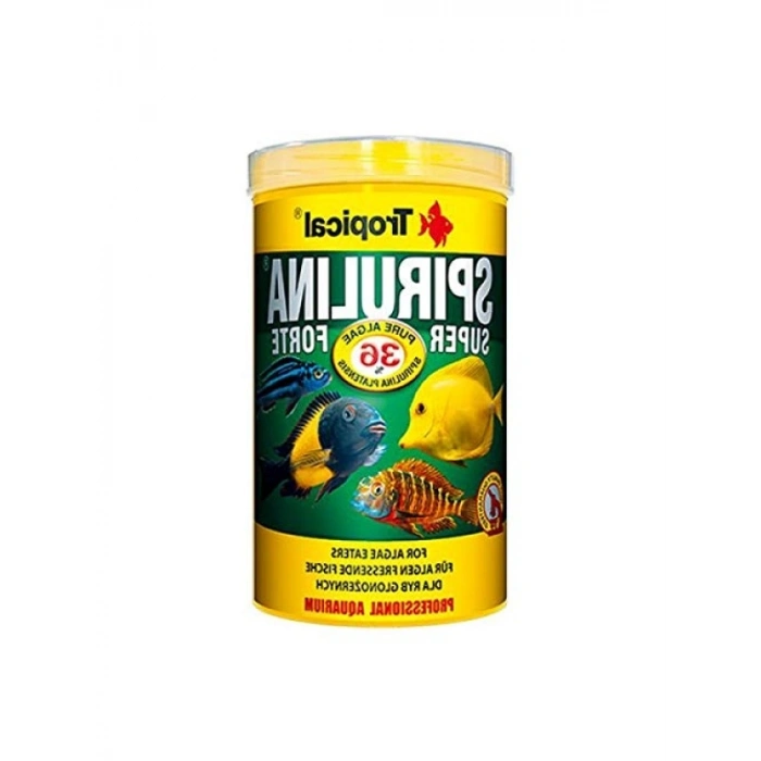 Yetişkin Balık Pul Yem 100 gr