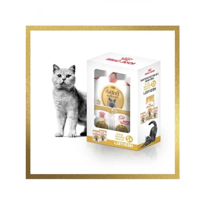 Yetişkin British Shorthair Kedi Maması 2 Kg + 2 Adet Yaş Maması