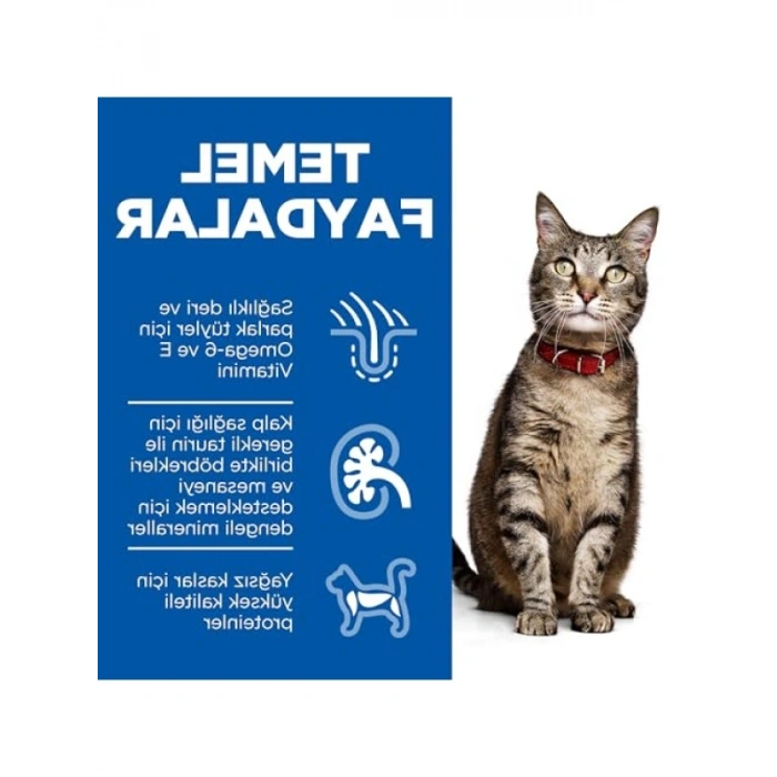 Yetişkin Kediler İçin Kuzu Etli Kedi Maması 8+2 kg