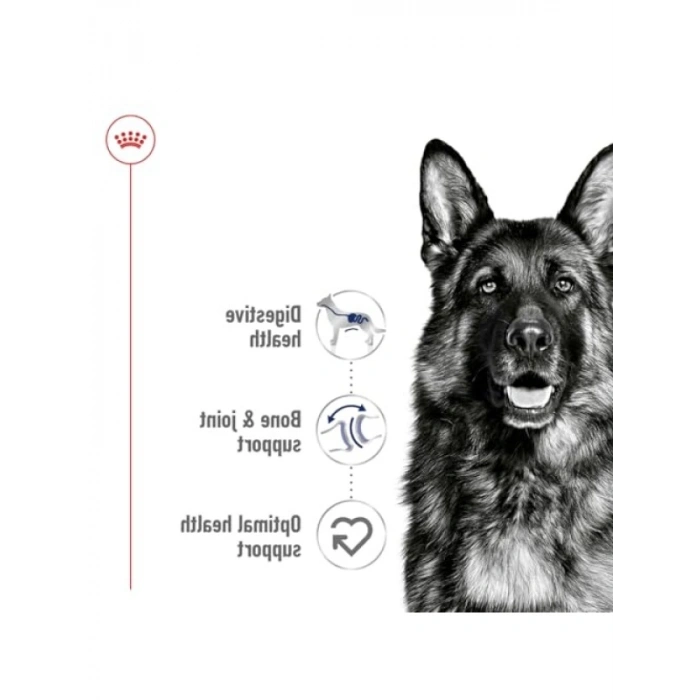 Yetişkin Köpek Konserve Maması | 410g x 12 Adet