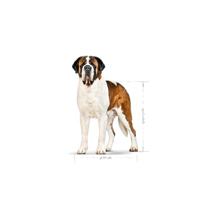 Yetişkin Köpek Maması - 15 Kg