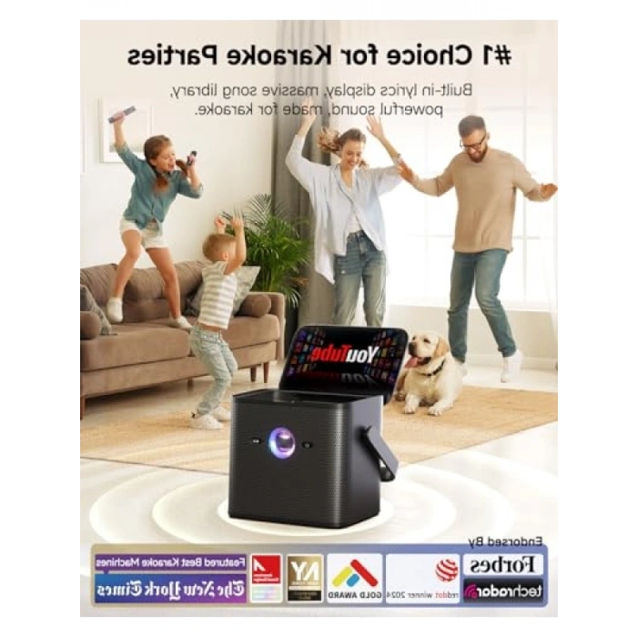 Yetişkinler için Karaoke Makinesi, Kablosuz Mikrofon ve Ekran ile