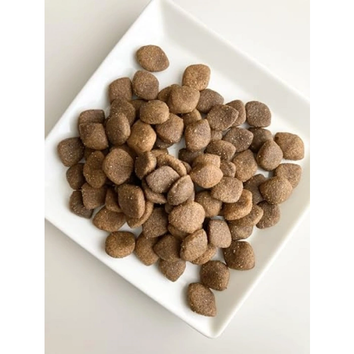 Yüksek Enerji İçeren Dana Etli Yetişkin Köpek Maması, 15 Kg