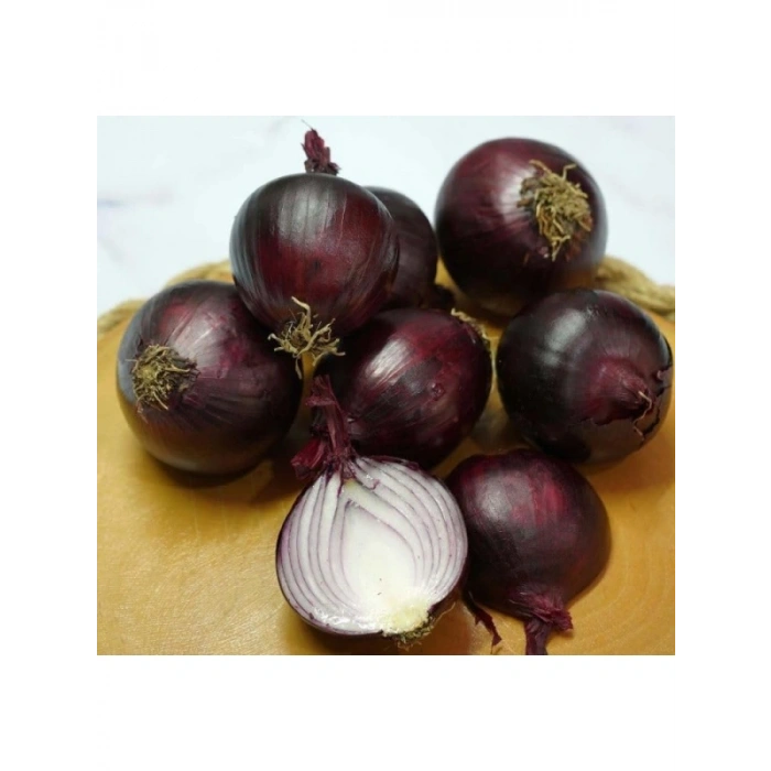 Yüksek Kaliteli Mor Soğan Tohumu - 3 Gram