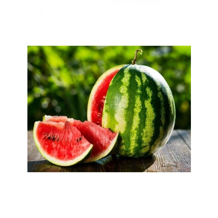 Yüksek Verimli Crimson Sweet Karpuz Tohumu