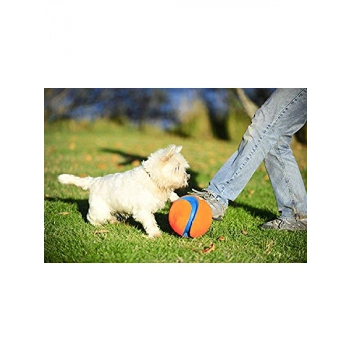 Yumuşak Naylon Köpek Oyun Topu - Küçük Boy