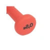 0,5 kg Pren Kaplı Dambıl