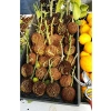 10 Adet Bitki Köklendirme Topu ve 20 Adet Klips