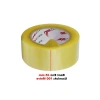 10 Adet Şeffaf Koli Bandı - 45 mm x 100 Mt, Güçlü Yapışkanlı