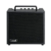10 Watt Bas Combo Amfi - Yüksek Performans ve Taşınabilirlik