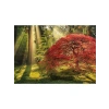 1000 Parça Puzzle - Yıldızlı Gece Temalı