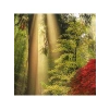 1000 Parça Puzzle - Yıldızlı Gece Temalı
