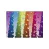 1000 Parça Renkli Puzzle ile Zeka Geliştirme