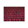 1000 Parça Yetişkin Yapboz - Squid Game Temalı