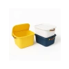10L Kapaklı Plastik Organizer Kutu - Renkli