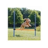 123x115xØ3 cm Köpek Agility Eğitim Manisi