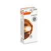 12V T10 Dipsiz Park Gösterge Ampulü - 10 Adet