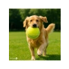 14 cm Boyutunda Dayanıklı Tenis Topu Köpek Oyuncağı