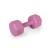 2 Adet Pembe Dambıl Seti, 2 kg Ağırlık