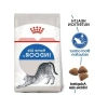2 Kg Sindirim Destekleyici Kedi Maması