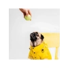 2li Kedi ve Köpek Tenis Topu - 7.5 cm