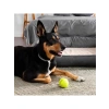 2li Kedi ve Köpek Tenis Topu - 7.5 cm