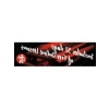 20 Delikli Ahşap Gövdeli Blues Harp - A Majör Anahtar