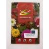 200 Tohum Kirli Hanım Zinnia - Karışık Renk