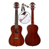 23 Konser Ukulele - Maun Ağaç Yapısı