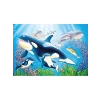 2x24 Parça Sualtı Temalı Puzzle, 3+ Yaş için Renkli Tasarım
