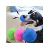 3 Adet Pati Desenli Küçük Boy Köpek Isırma Topu