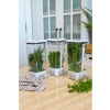 3lü Eko Set Yeşillik Saklama Kabı - 1,7 Litre