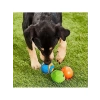 3lü Köpek Oyun Topu Seti - Farklı Oyun Deneyimleri