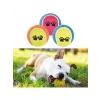 3lü Renkli Desenli Tenis Topu - Kedi ve Köpek Oyuncağı