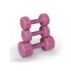 3 Set Pembe Dambıl Seti, 1 kg, 2 kg ve 3 kg Ağırlık Seçenekleri
