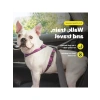 3ü 1 Arada Köpek Koşum Takımı S Beden