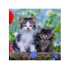 3 X 49 Parça Eğlenceli Puzzle Seti