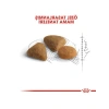 4 Kg Özel Besinli Kuru Kedi Maması
