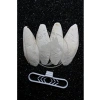 4lü Temizlenmiş Mürekkep Balığı (Kalamar) Kemiği 7-8 cm