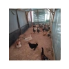 %40 Gölgeleme Özellikli Dayanıklı Sera Gölgelik File - 2m x 4m