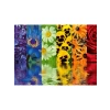 500 Parça Çiçek Yansıma Puzzle