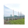 %55 Gölgeleme Kapasitesine Sahip Yeşil Gölgelik File - 4 M x 5 M