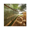 %55 Gölgeleme Kapasitesine Sahip Yeşil Gölgelik File - 4 M x 5 M