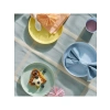 6lı Pastel Renkli Kalas Plakaları, BPA İçermez