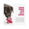 9 cm Boyutunda Köpek Diş Bakım Oyuncak
