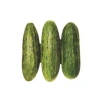 Acur Tüylü Tohumu (Çoklu) - 5 Gram
